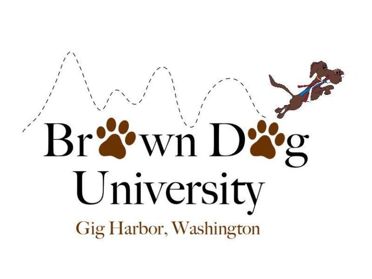 Brown Dog Univ Logo